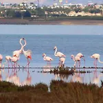 Casa Piszi Lejlighed Torrevieja